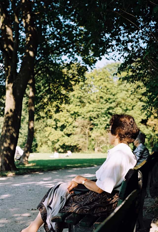 ENGLISCHER GARTEN